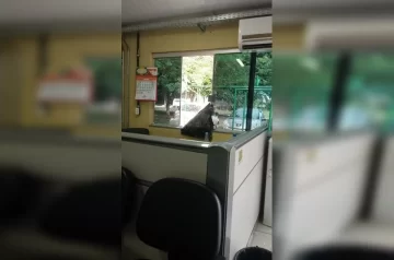 Em ataque de fúria, mulher apedreja Conselho Tutelar do DF